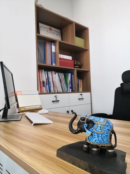 Çin HEBEI FAITHFUL MECHANICAL AND ELECTRICAL EQUIPMENT CO., LTD. şirket Profili